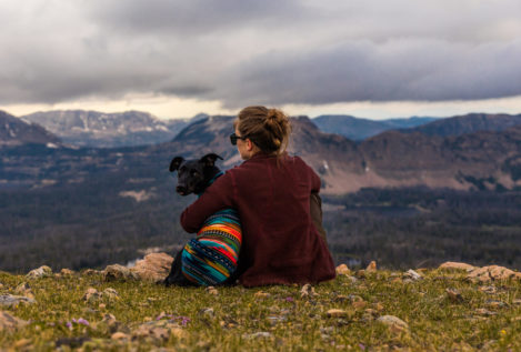 5 cuentas de Instagram que te inspirarán a viajar con tu perro
