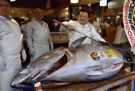 Precio récord de 2,7 millones de euros por un atún rojo en la primera subasta del año en Japón