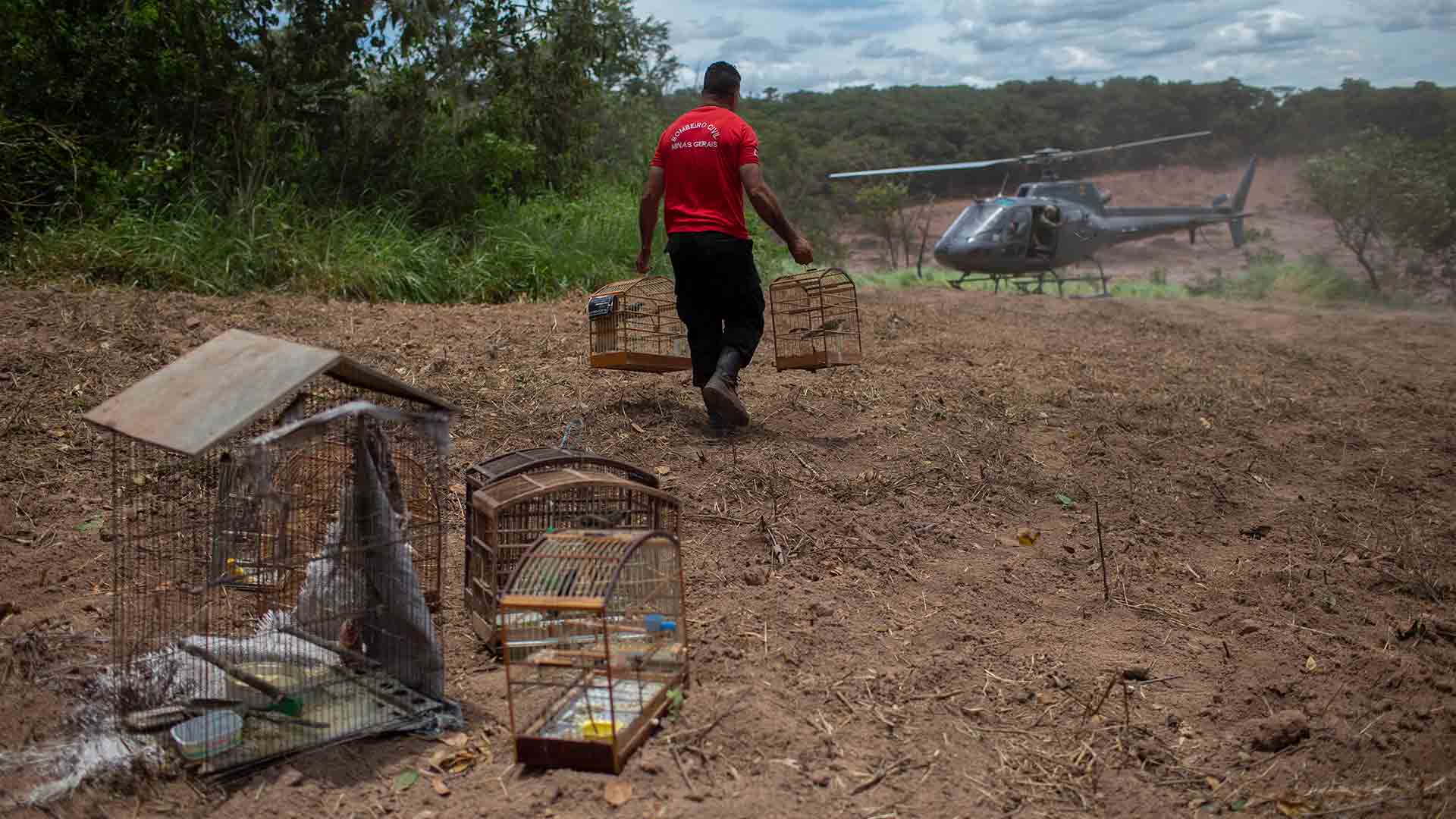 Se elevan a 60 los muertos por la rotura de una mina en Brasil y sigue la búsqueda de desaparecidos
