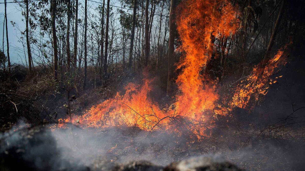 Detenido un jefe de voluntarios de Protección Civil como sospechoso de los incendios en Cantabria