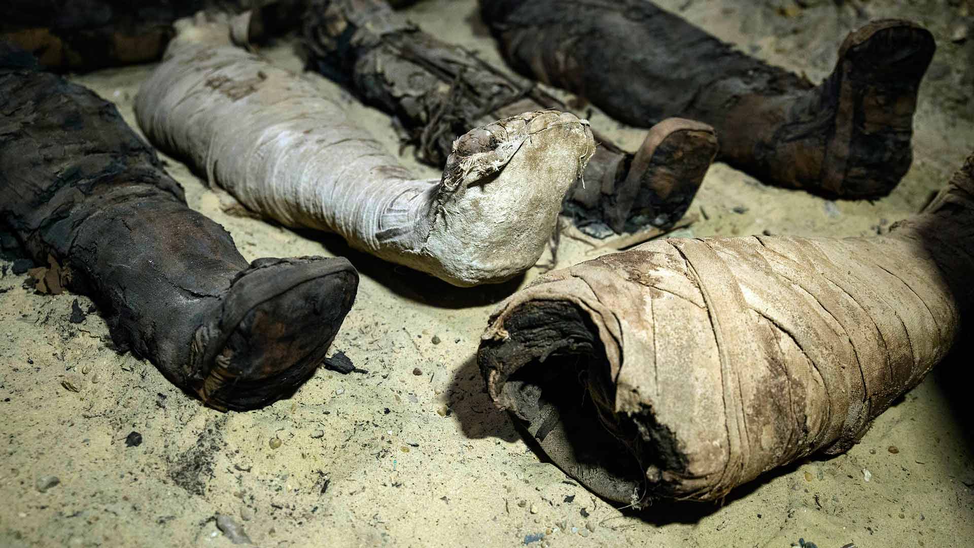 Egipto evita que salgan del país partes de dos momias troceadas y escondidas en un altavoz