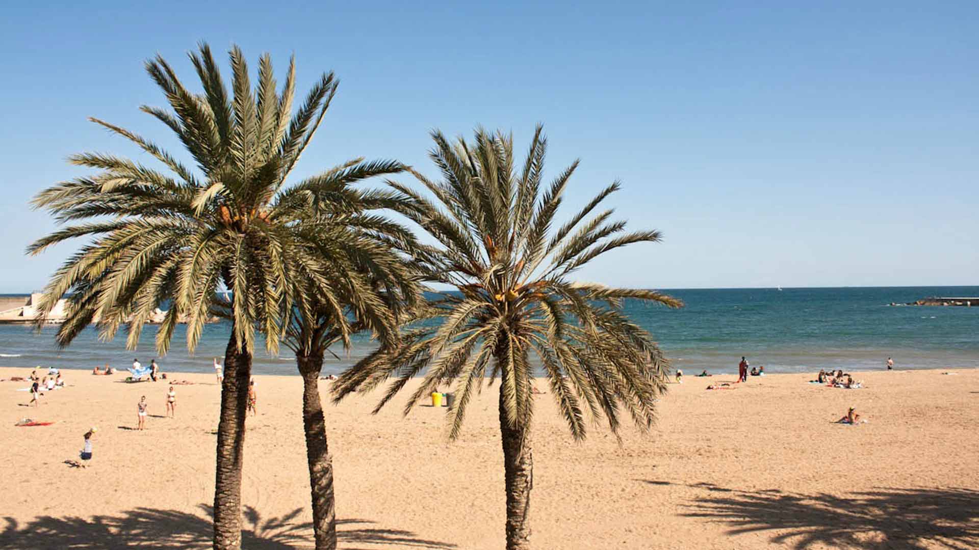 Hallan el cadáver de una mujer en la playa barcelonesa de Somorrostro