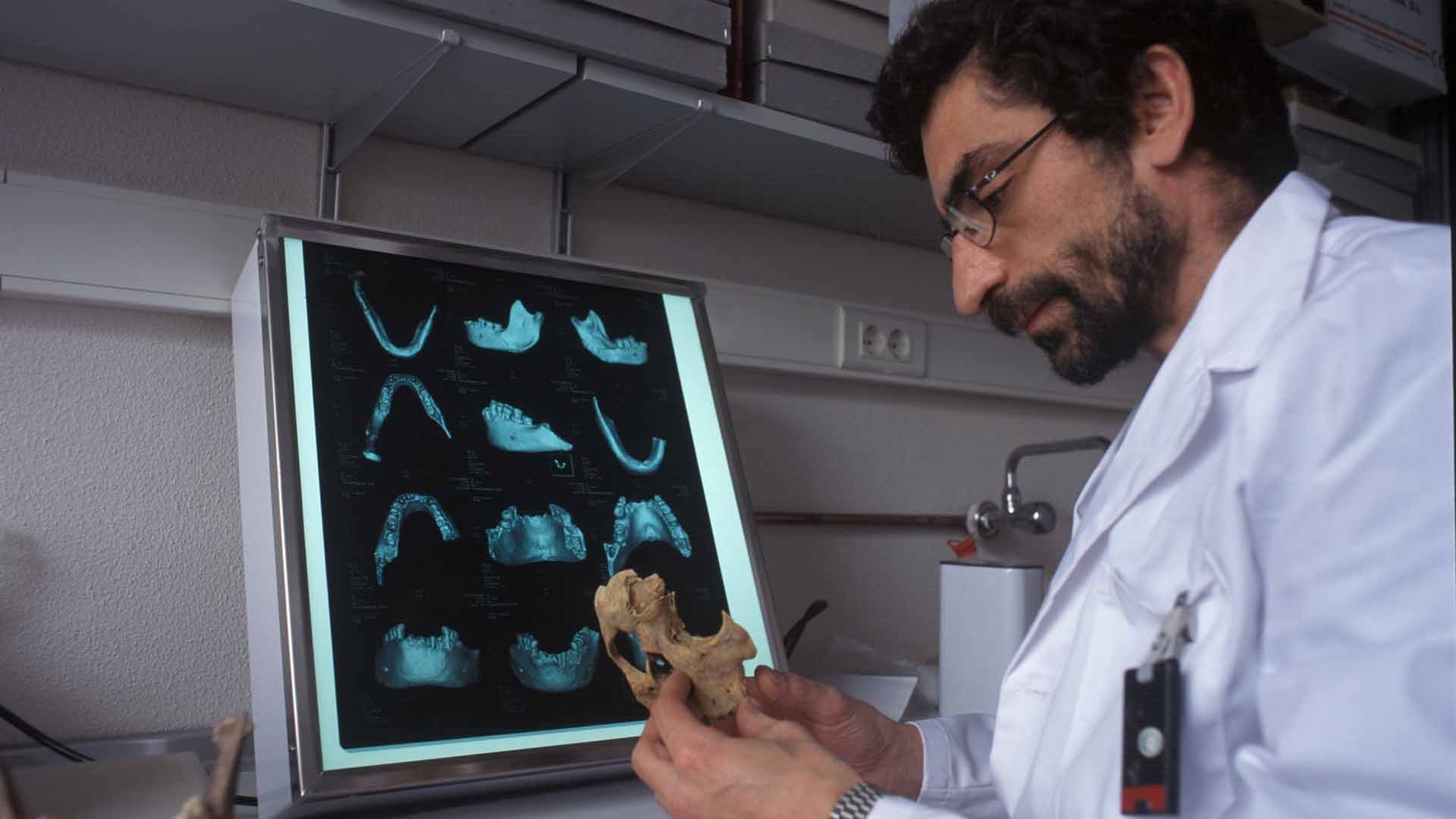 La endogamia fue un factor clave en la extinción de los neandertales