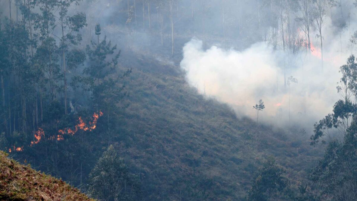 El viento complica las tareas de extinción de los incendios en la cornisa cantábrica