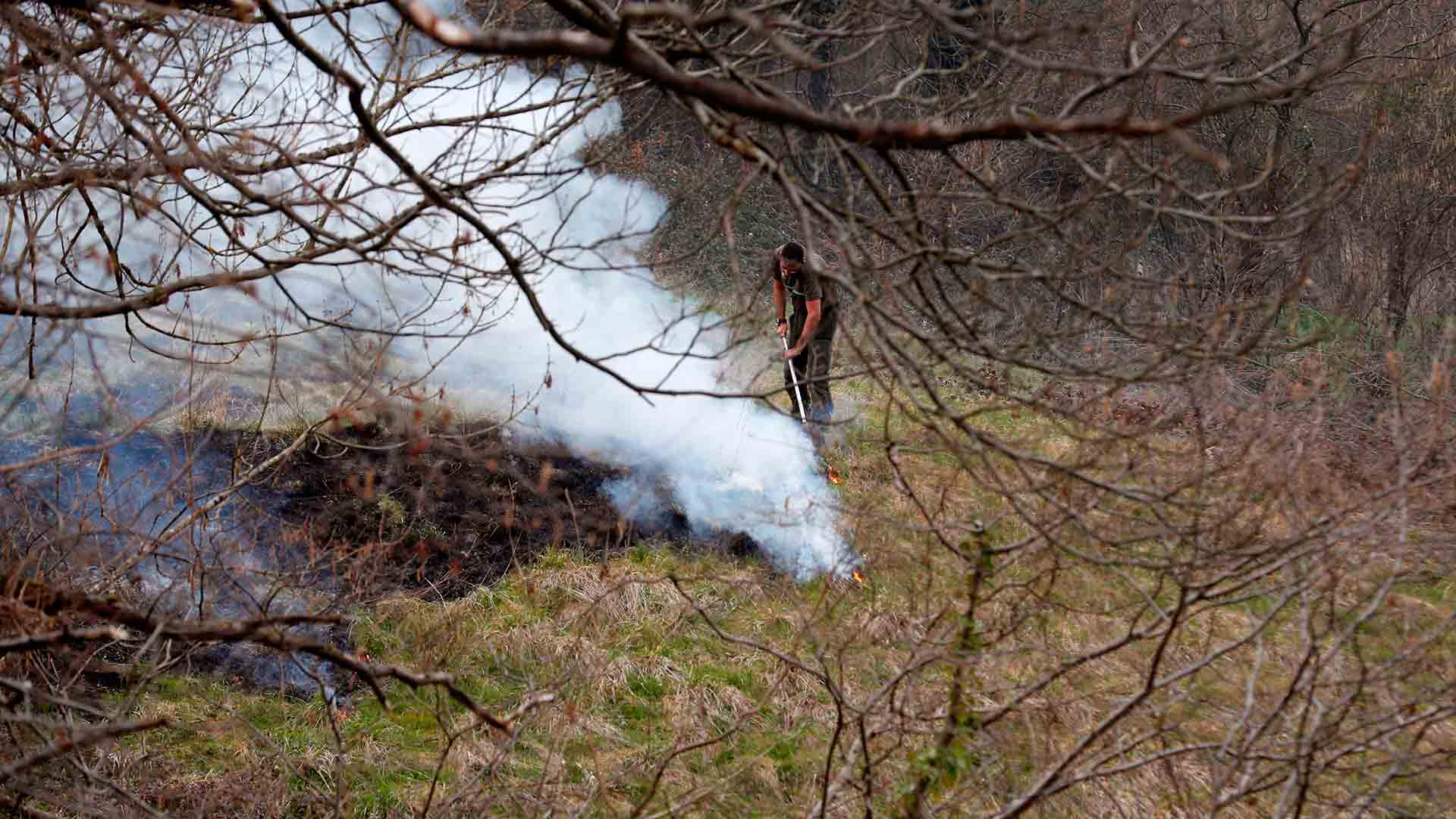 En las últimas 24 horas se han provocado en Cantabria 18 incendios forestales