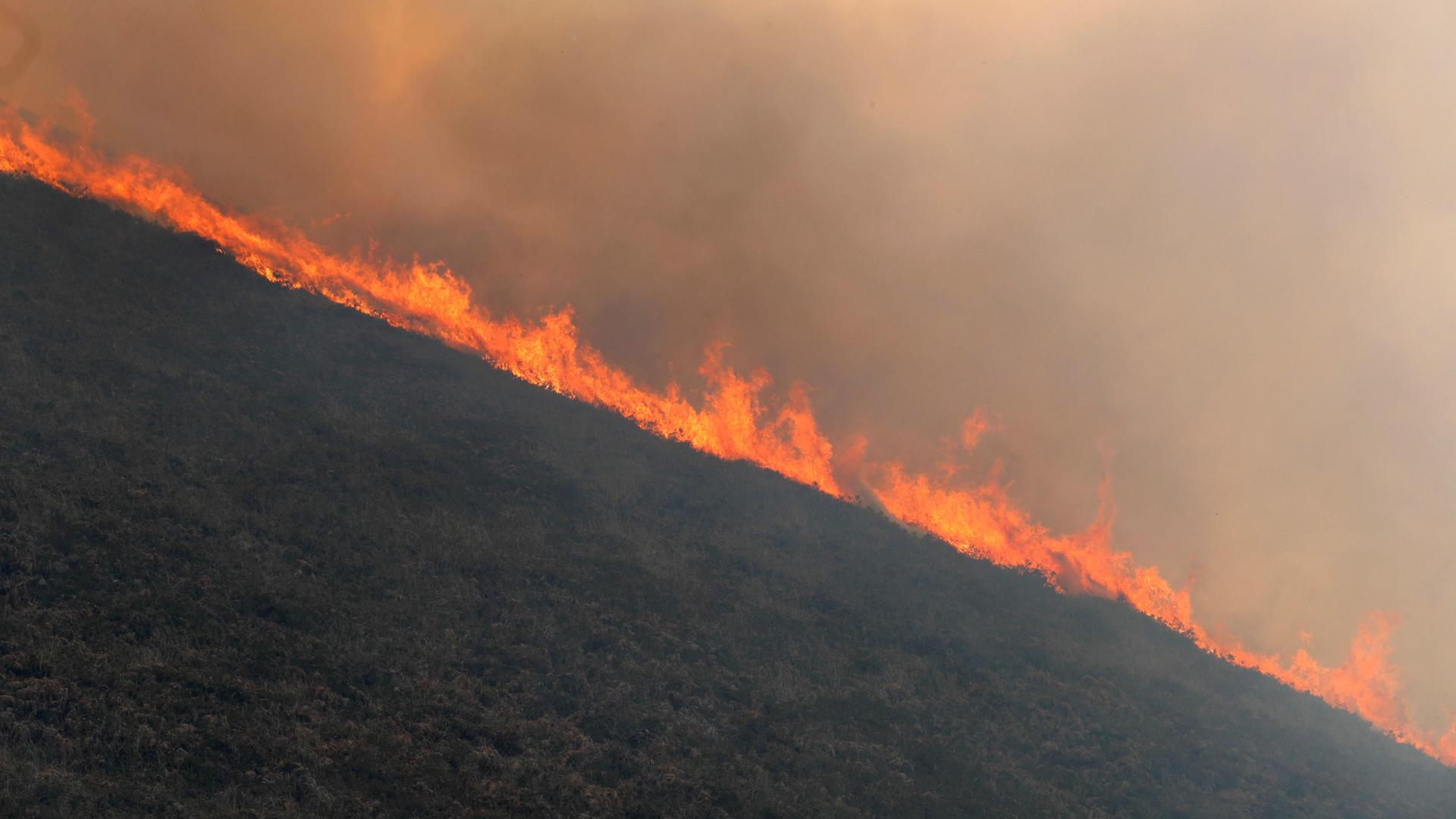 Se mantienen activos 37 incendios en Asturias y mejora la situación en Cantabria