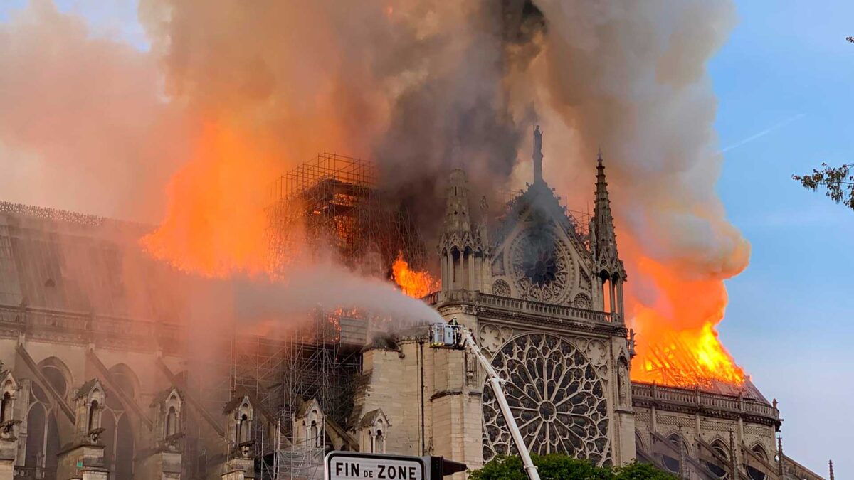 En menos de un minuto: un incendio arrasa Notre Dame e investigadores israelíes imprimen en 3D un corazón «vivo»