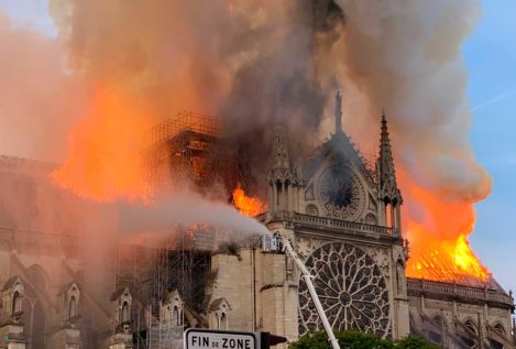 En menos de un minuto: un incendio arrasa Notre Dame e investigadores israelíes imprimen en 3D un corazón "vivo"
