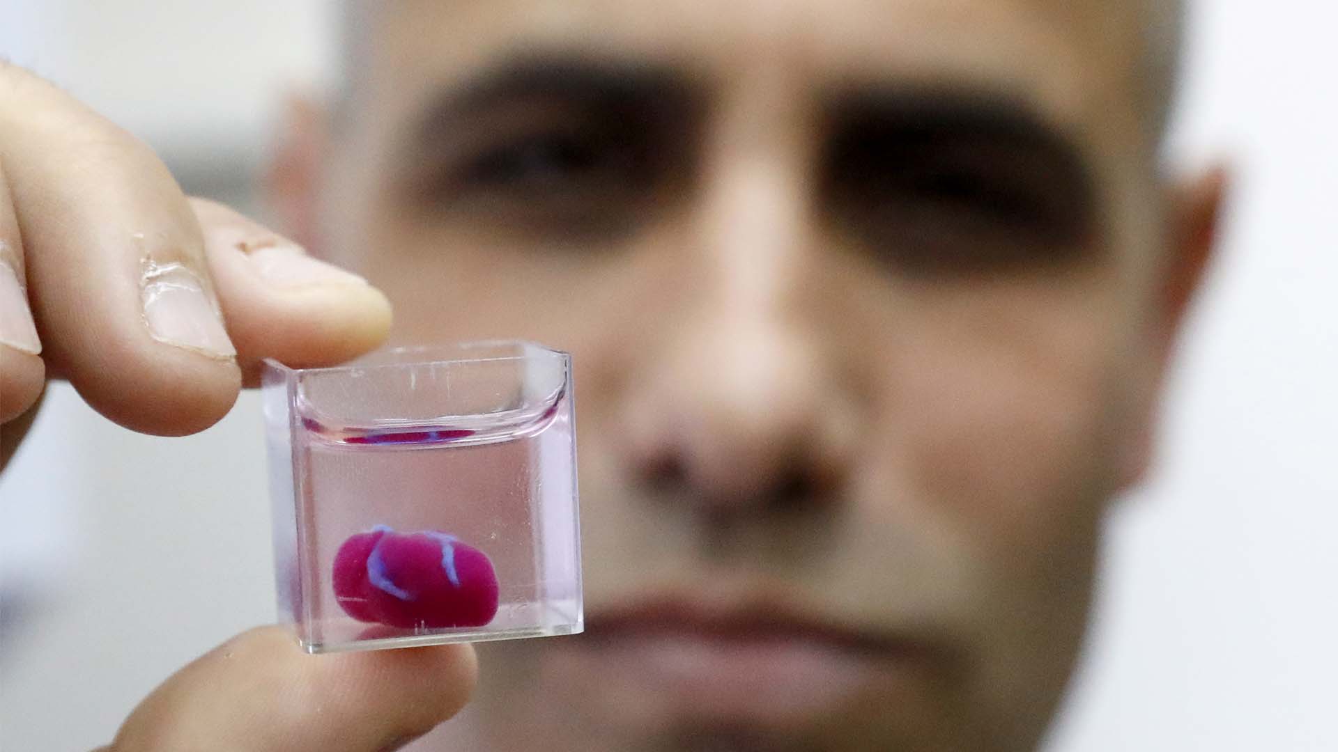 Investigadores israelíes crean un corazón impreso en 3D con tejidos humanos que palpita