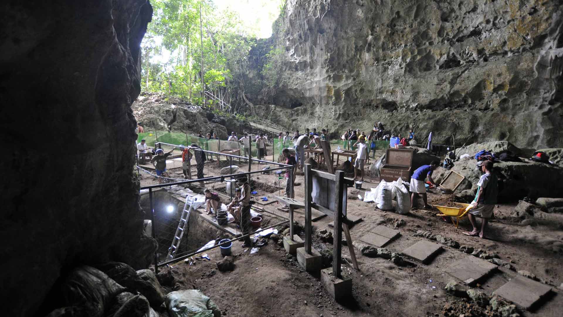 Una nueva especie humana con 50.000 años de antigüedad aparece en Filipinas