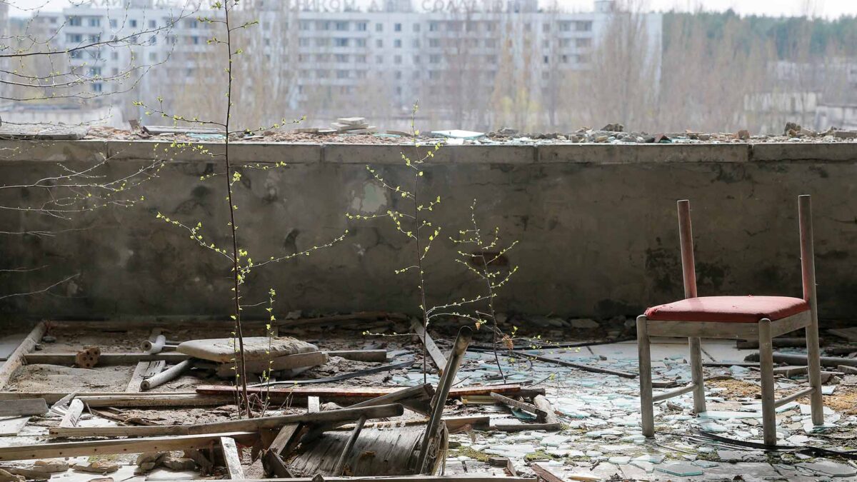 Visitamos la fauna de Chernóbil 33 años después del accidente nuclear