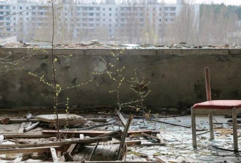 Visitamos la fauna de Chernóbil 33 años después del accidente nuclear