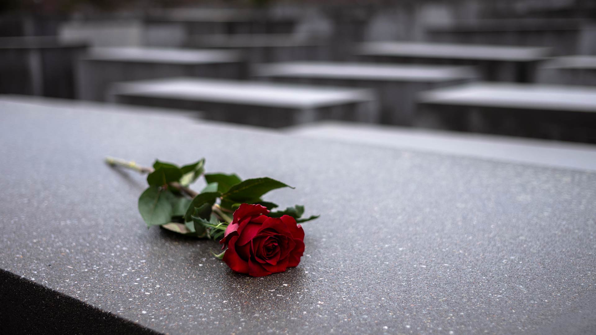 Alemania entierra más de 300 restos de víctimas de experimentos nazis