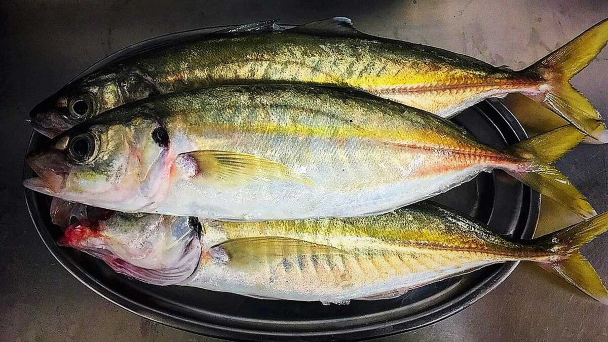 Cocina canaria, un giro de 180º