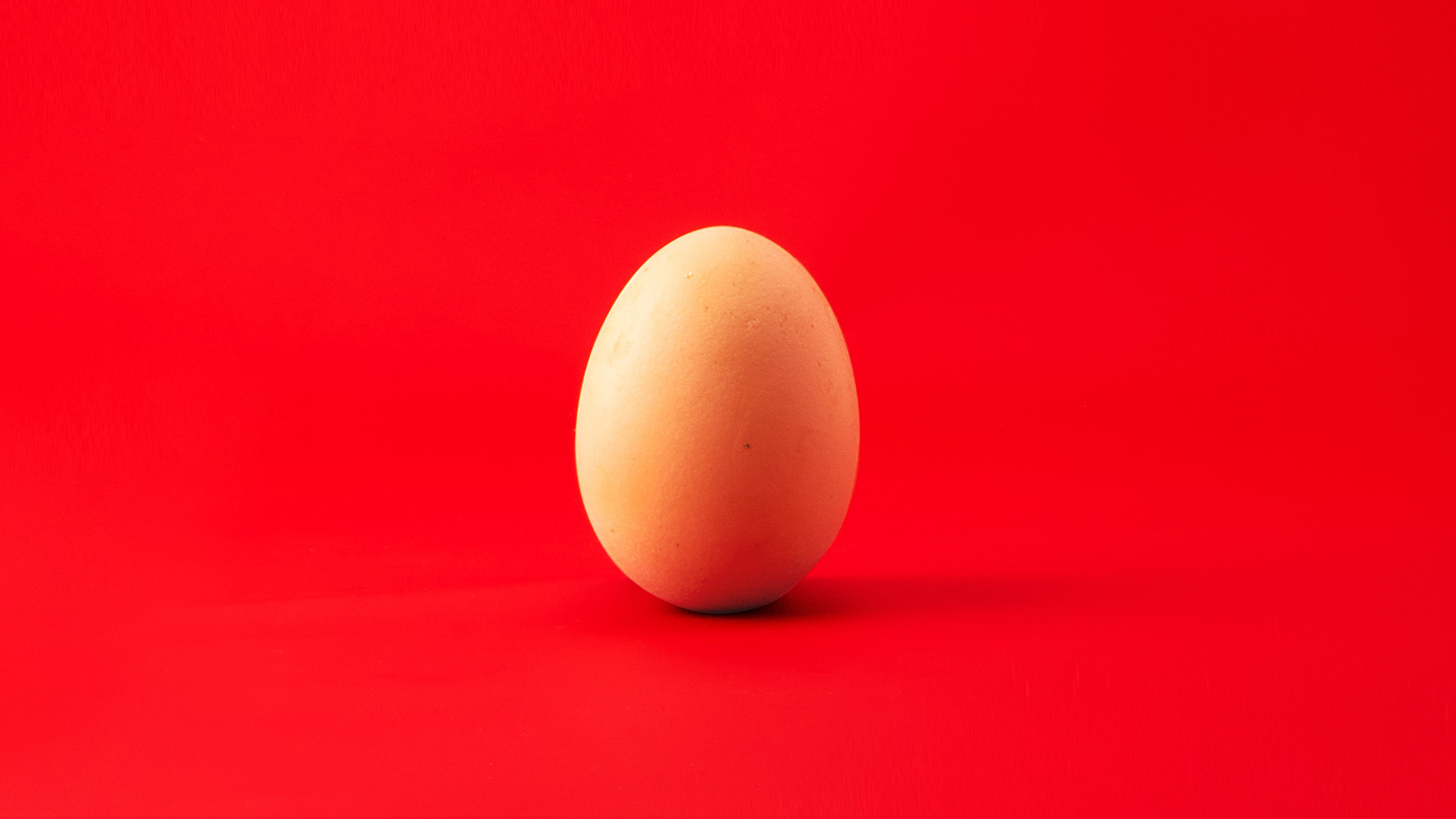 El truco para saber si un huevo está en mal estado