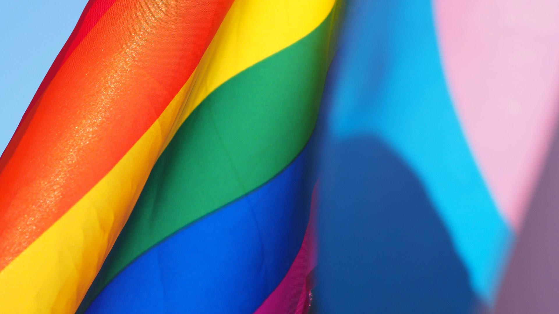 La FELGTB denuncia que los derechos del colectivo LGTBI se vulneran en cinco comunidades