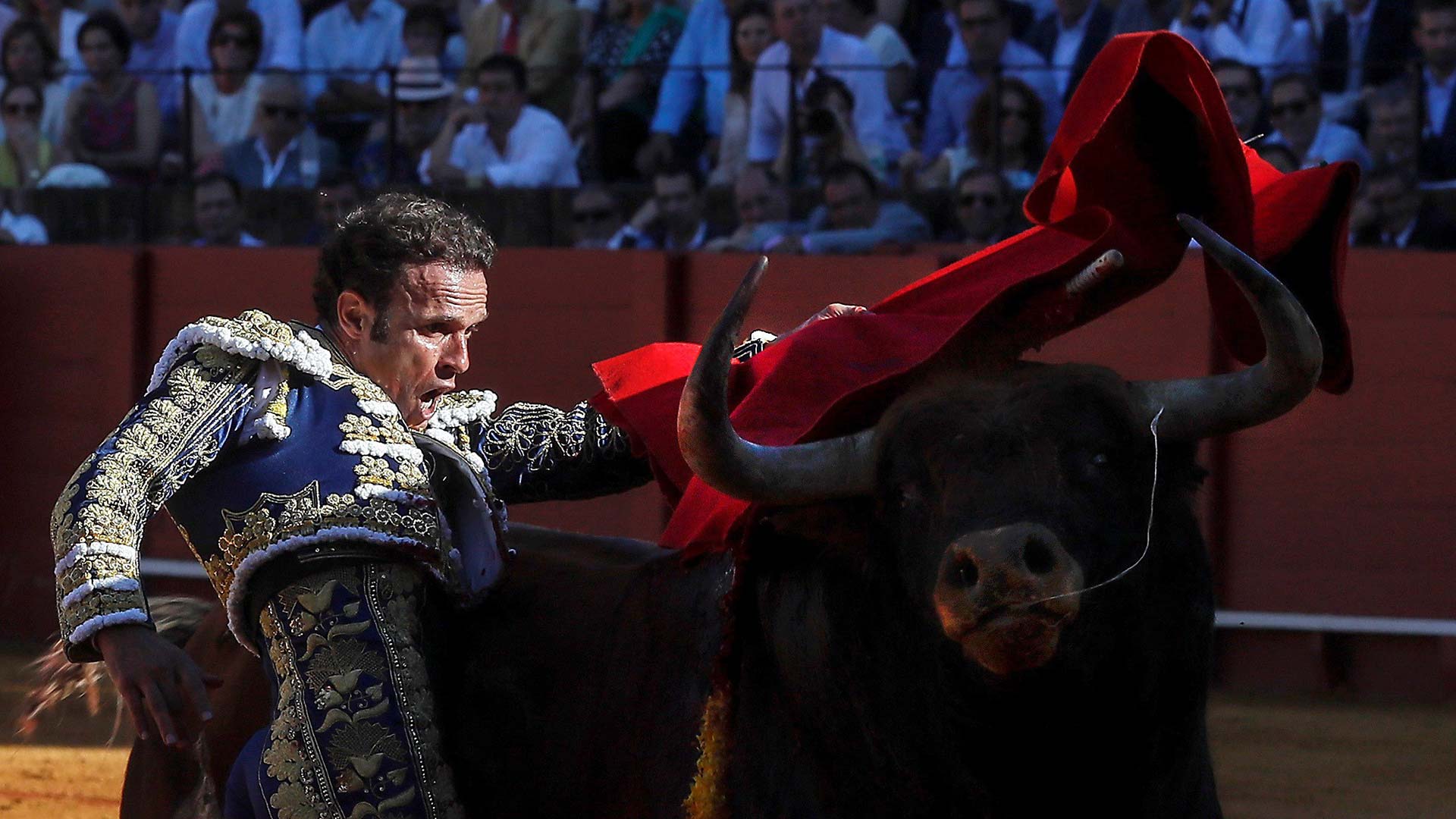 Ingresado el torero Antonio Ferrera tras precipitarse por un puente en Badajoz