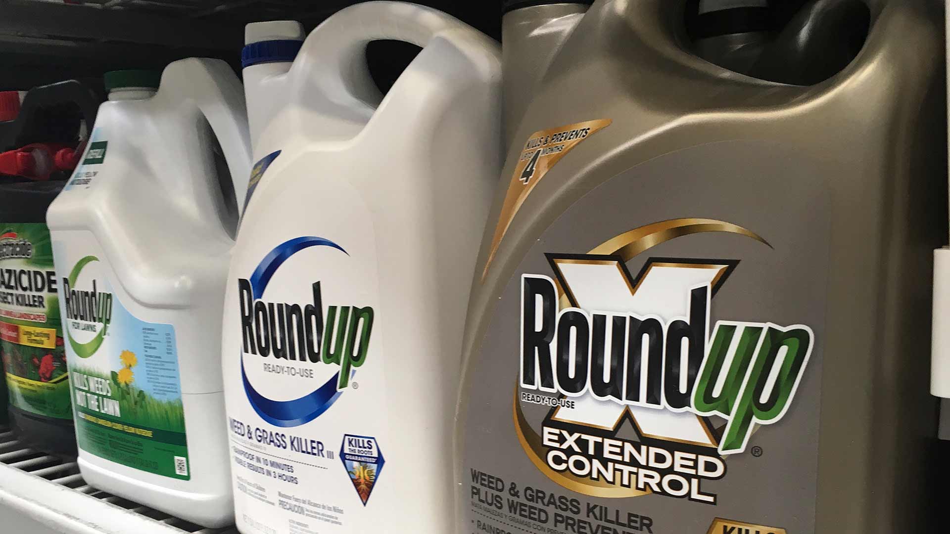 Monsanto, condenada a pagar 2.000 millones de dólares por su herbicida con glifosato