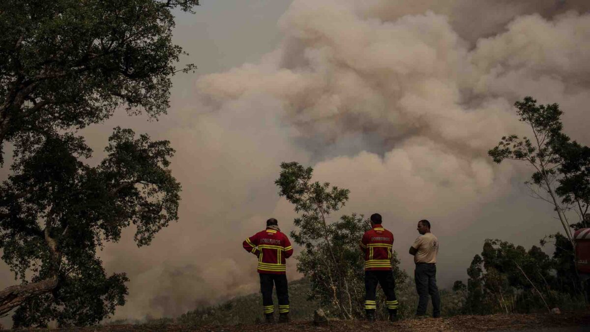 La capacidad de combate no reduce sus causas: los incendios forestales ya son como huracanes