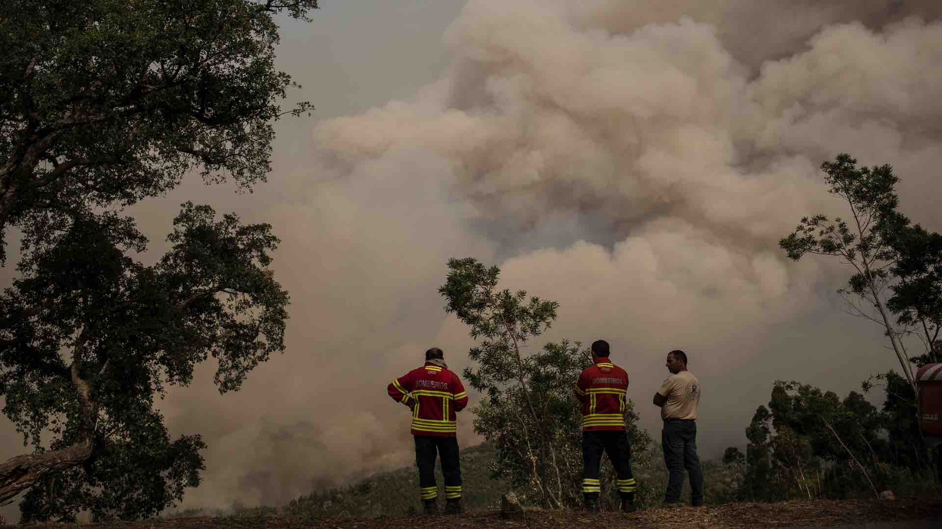 La capacidad de combate no reduce sus causas: los incendios forestales ya son como huracanes
