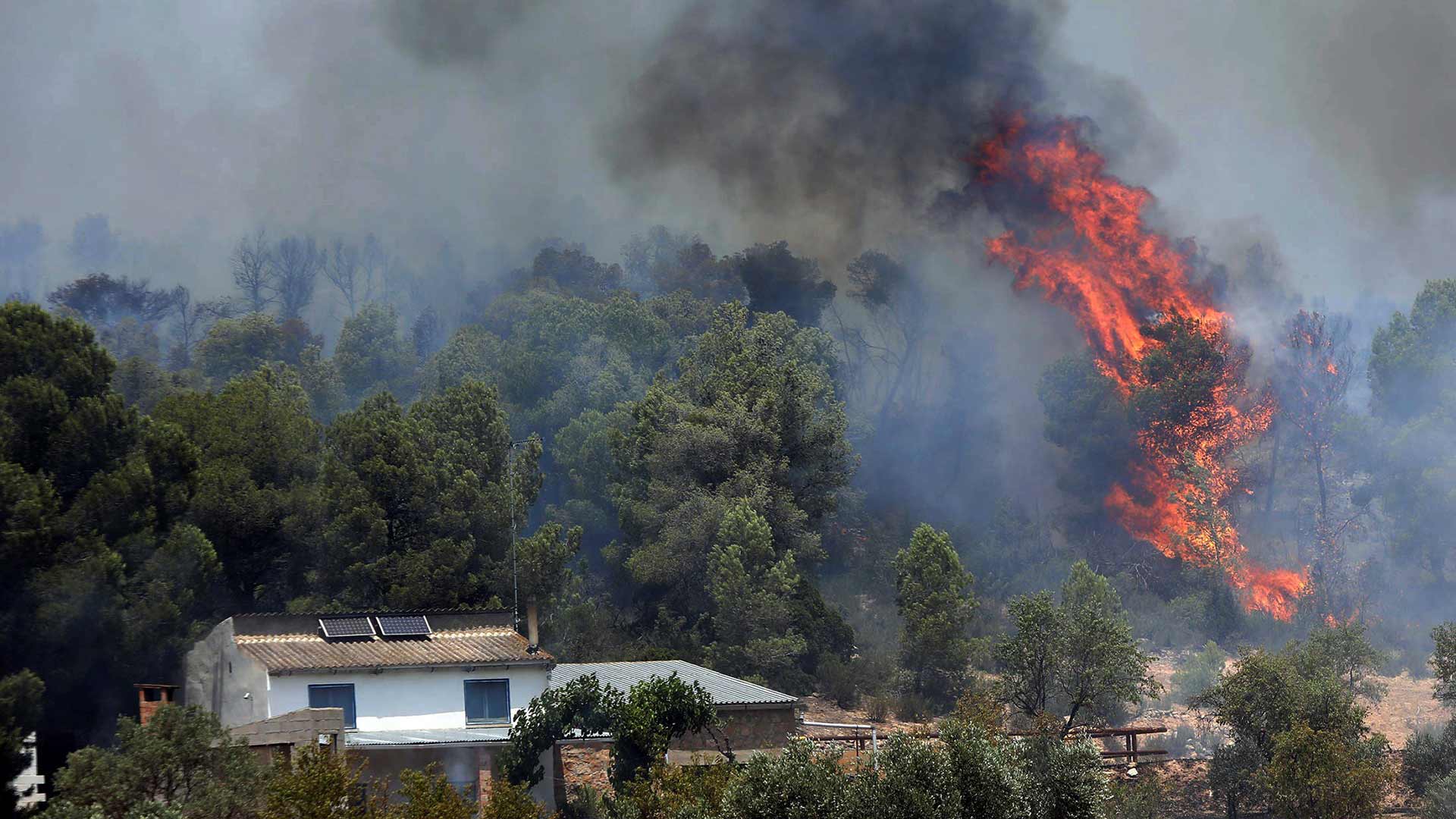 La "mala gestión" del estiércol en una granja de pollos causó el incendio de Tarragona que arrasa ya 5.500 hectáreas