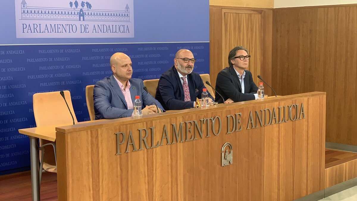 Vox presentará una enmienda a la totalidad de los presupuestos andaluces