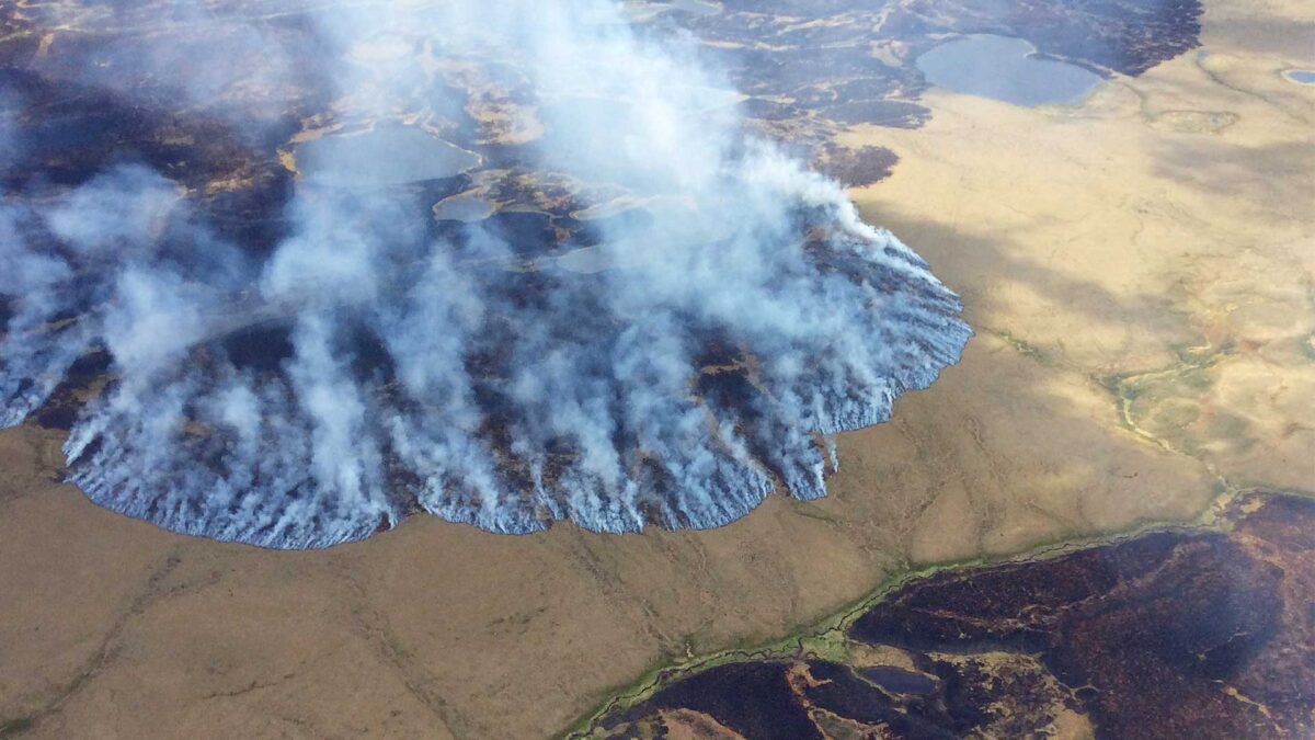 Alerta en el Ártico por más de 100 incendios incontrolados por las elevadas temperaturas