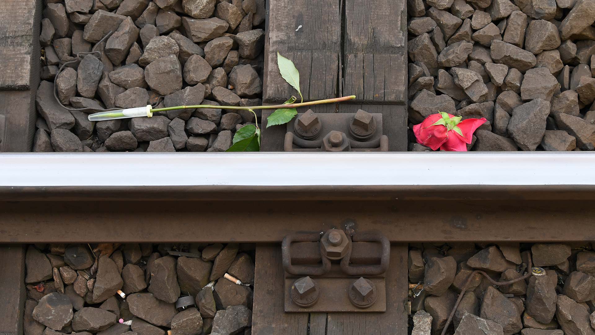Conmoción en Alemania: un hombre mata a un niño al empujarlo a las vías del tren