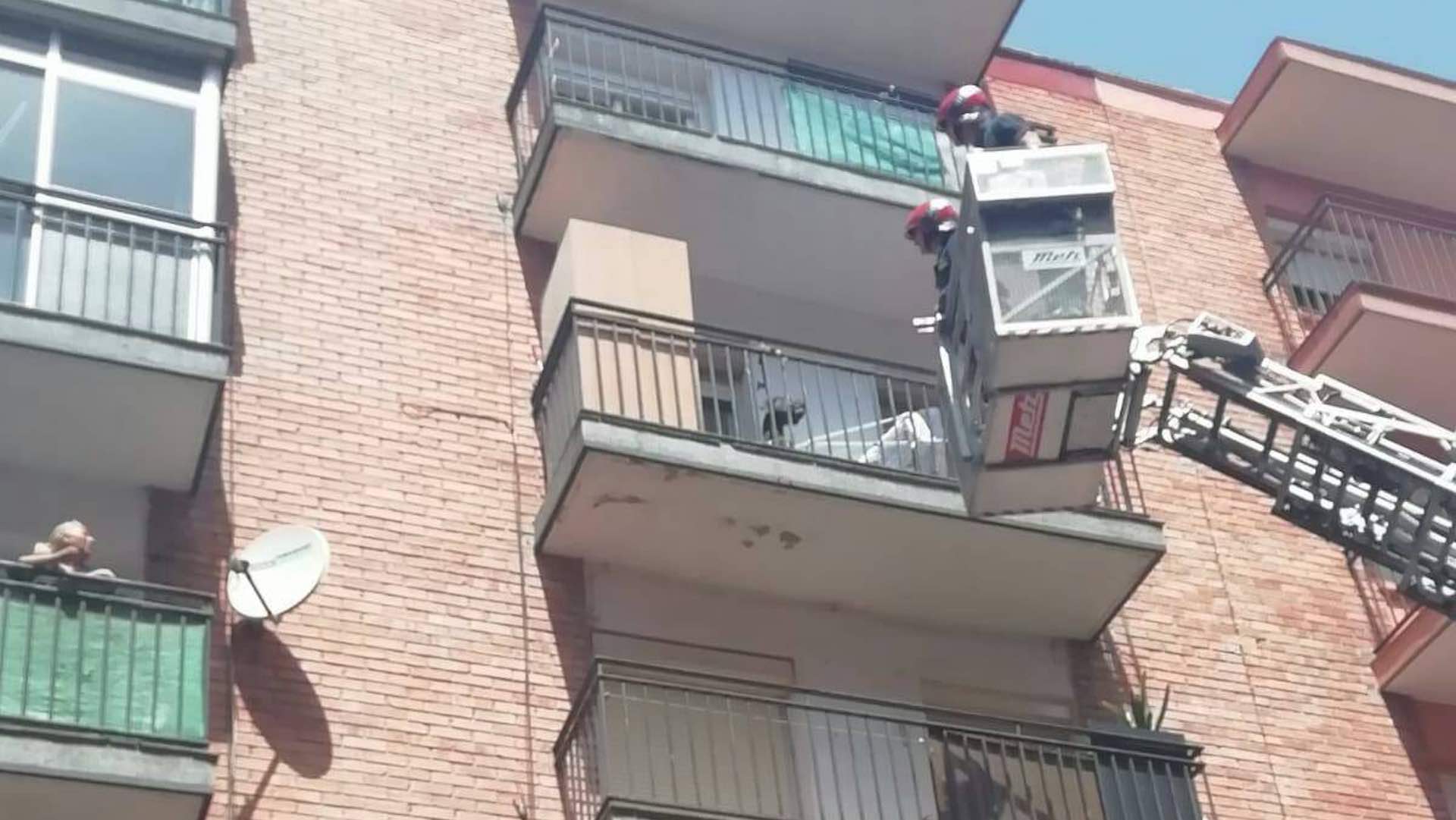 Detenida la dueña de un perro que murió encerrado en el balcón por un golpe de calor