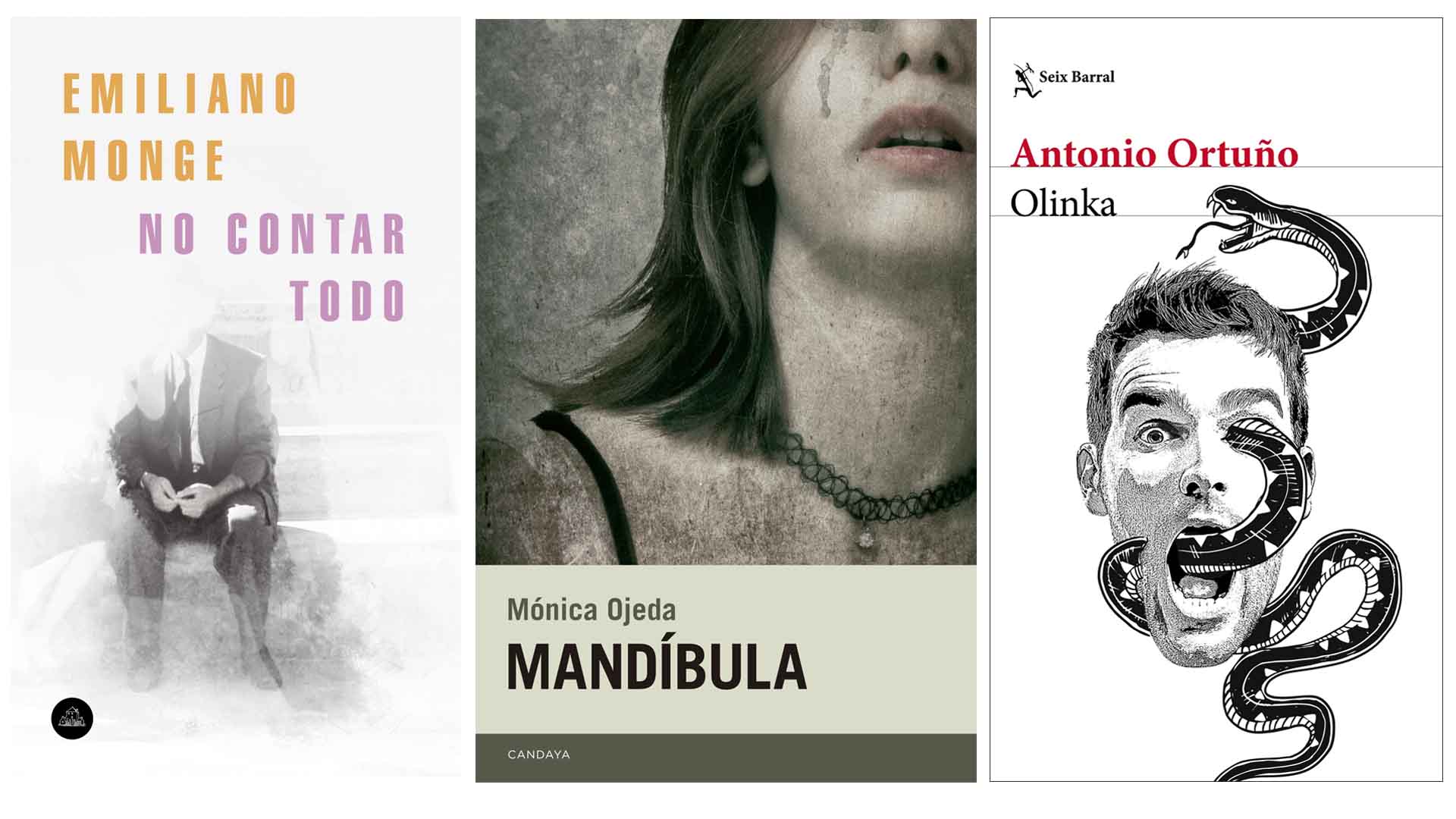 ¿Existe interés en España por leer autores latinoamericanos? 5