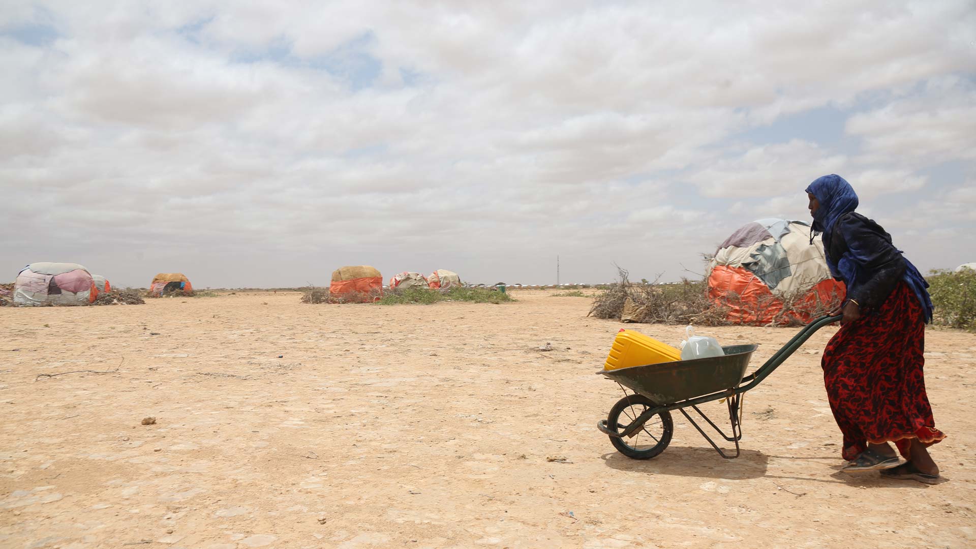 La sequía amenaza la vida de 15 millones de personas en el Cuerno de África