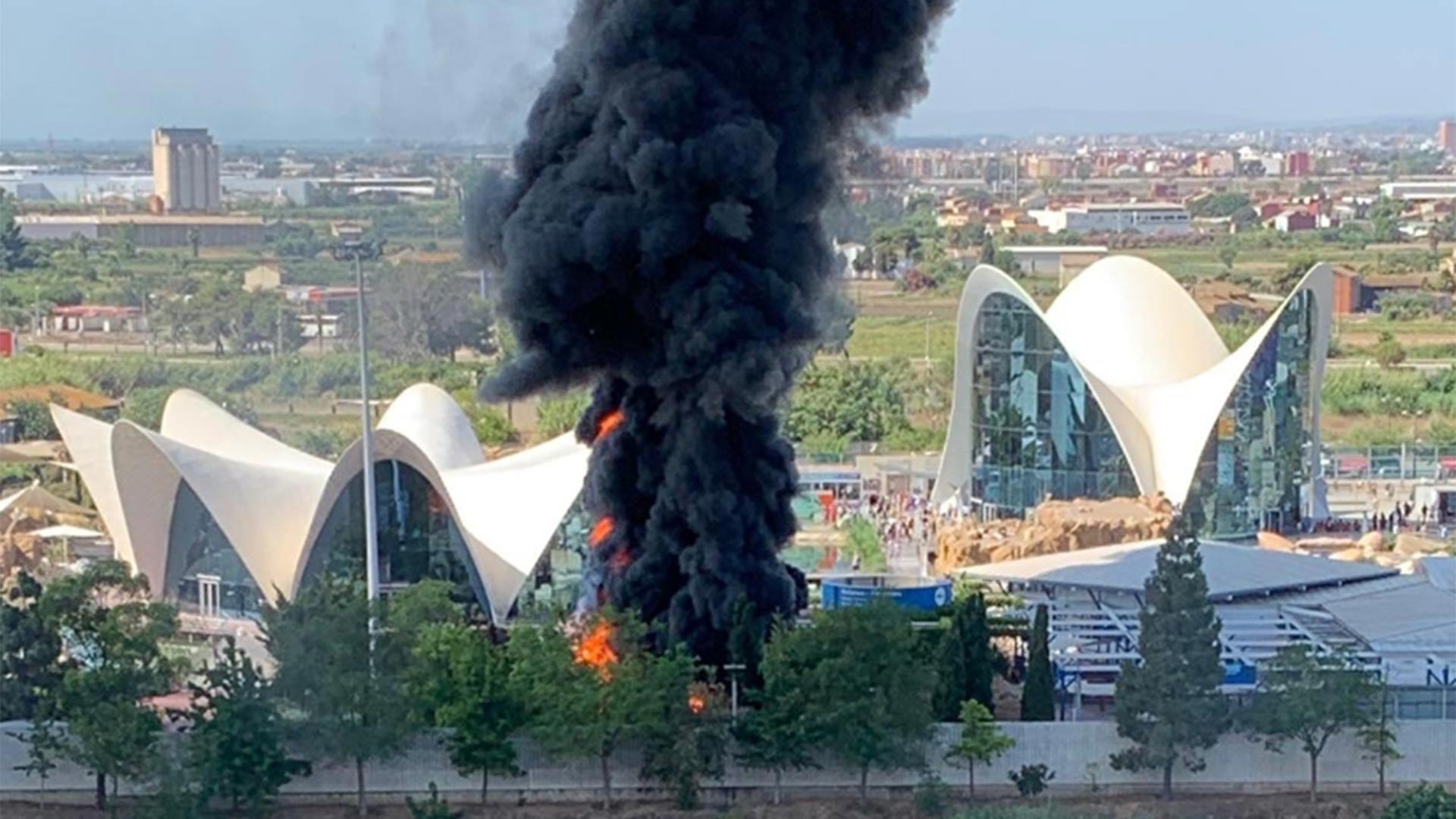 El Oceanogràfic de Valencia, evacuado por un incendio en una torre prefabricada