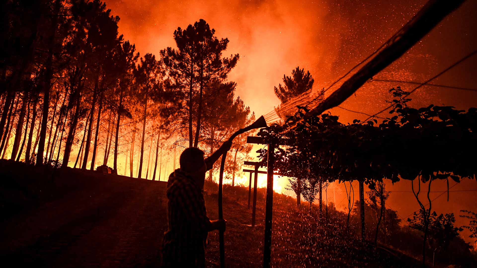 Más de mil bomberos luchan contra un gran incendio en Portugal
