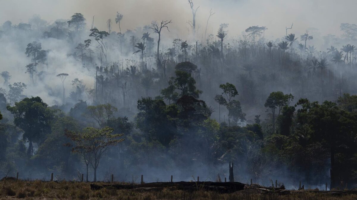 Bolsonaro cede y aceptará la ayuda extranjera para el Amazonas si Brasil controla los recursos