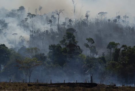 Bolsonaro cede y aceptará la ayuda extranjera para el Amazonas si Brasil controla los recursos
