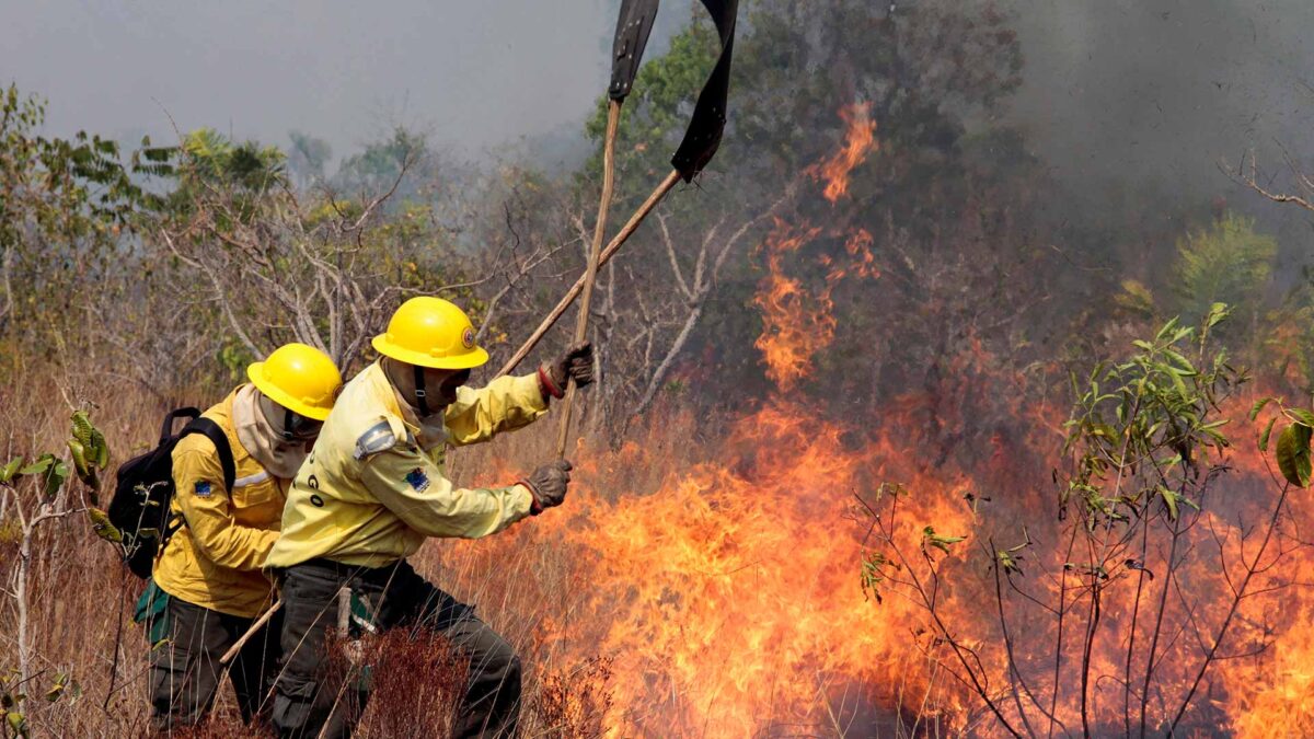 El Amazonas se quema: los incendios forestales en Brasil aumentan un 83% en un año