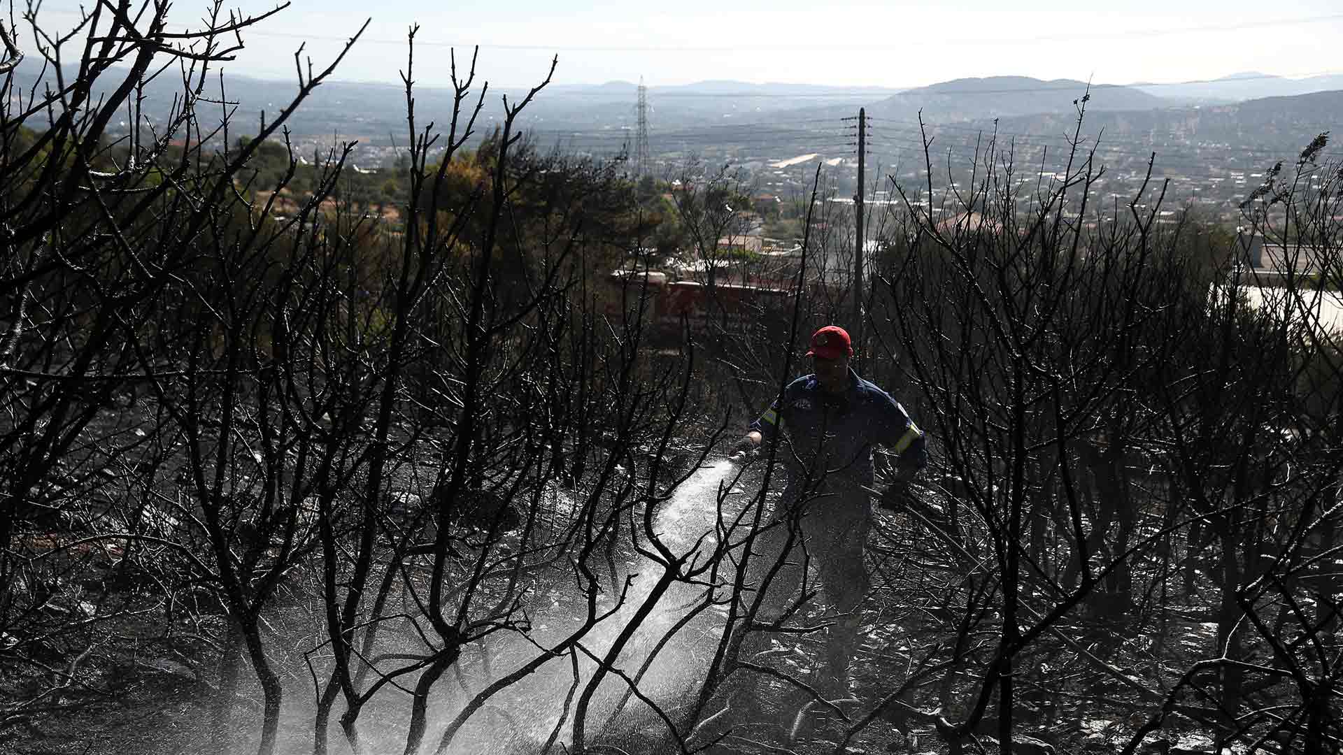 El cambio climático hará que aumenten los incendios en el Mediterráneo 1