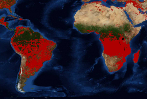 El corazón de África está en llamas (pero el verdadero problema es la sequía)
