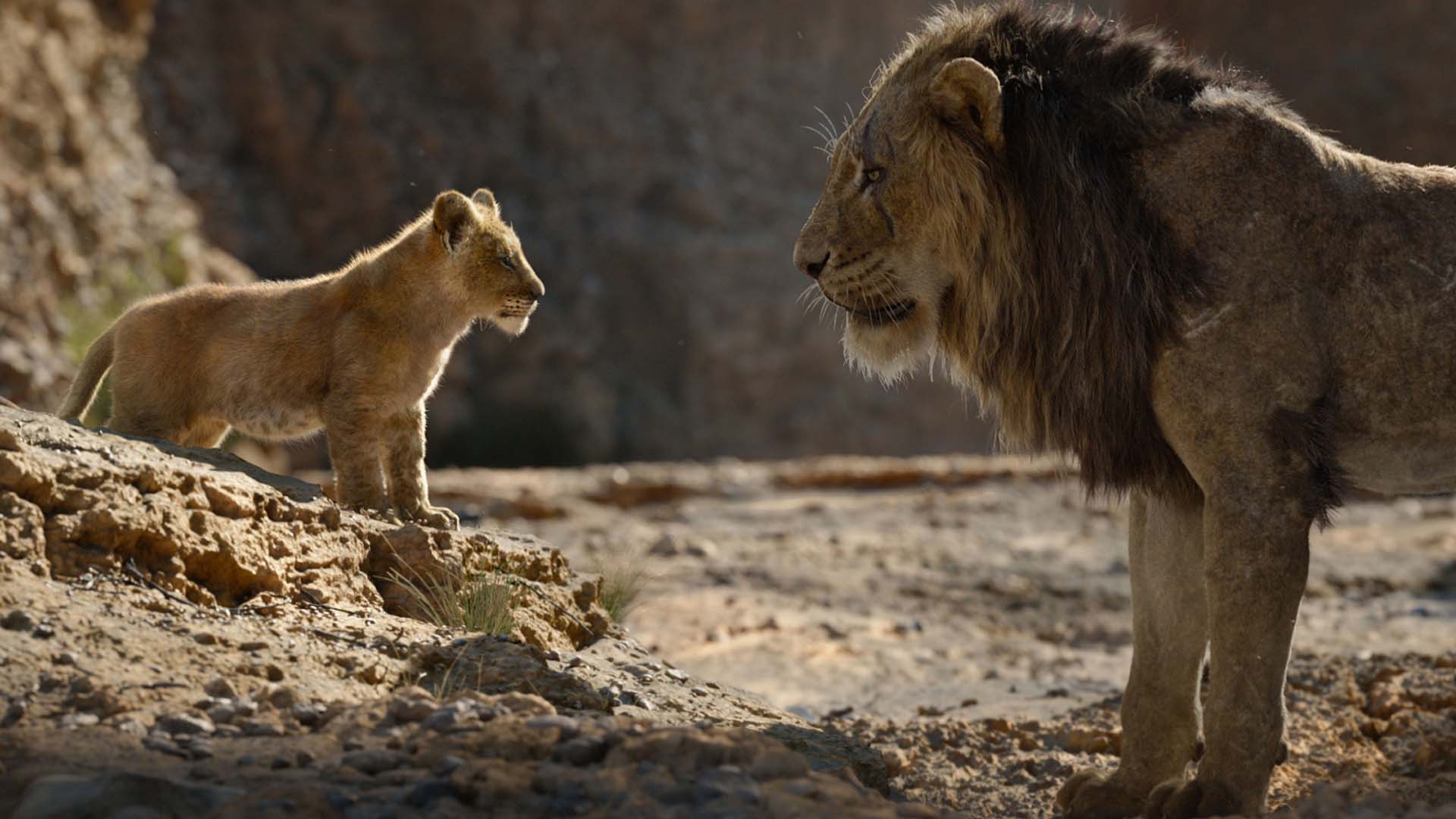 El Rey León ya es la película de animación más taquillera de la historia