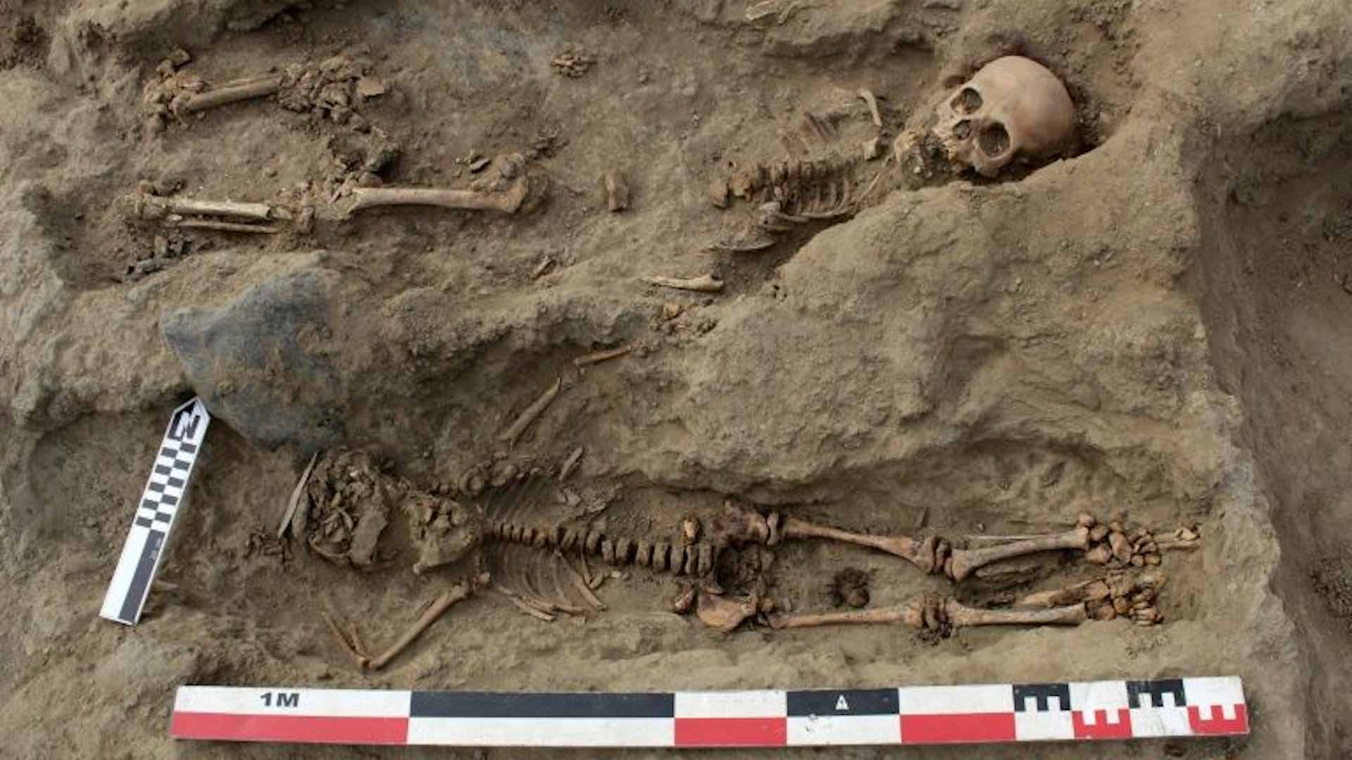 Encuentran 227 restos de niños de hace 1.200 años en el mayor sacrificio infantil del mundo