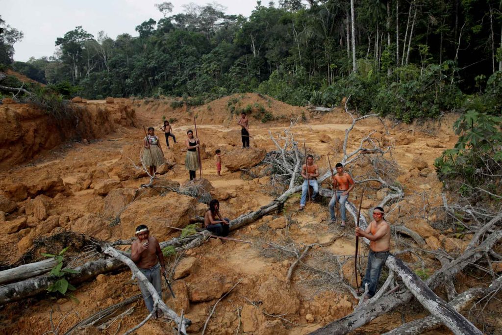 Incendios en el Amazonas: la tragedia de lo que no se ve 1