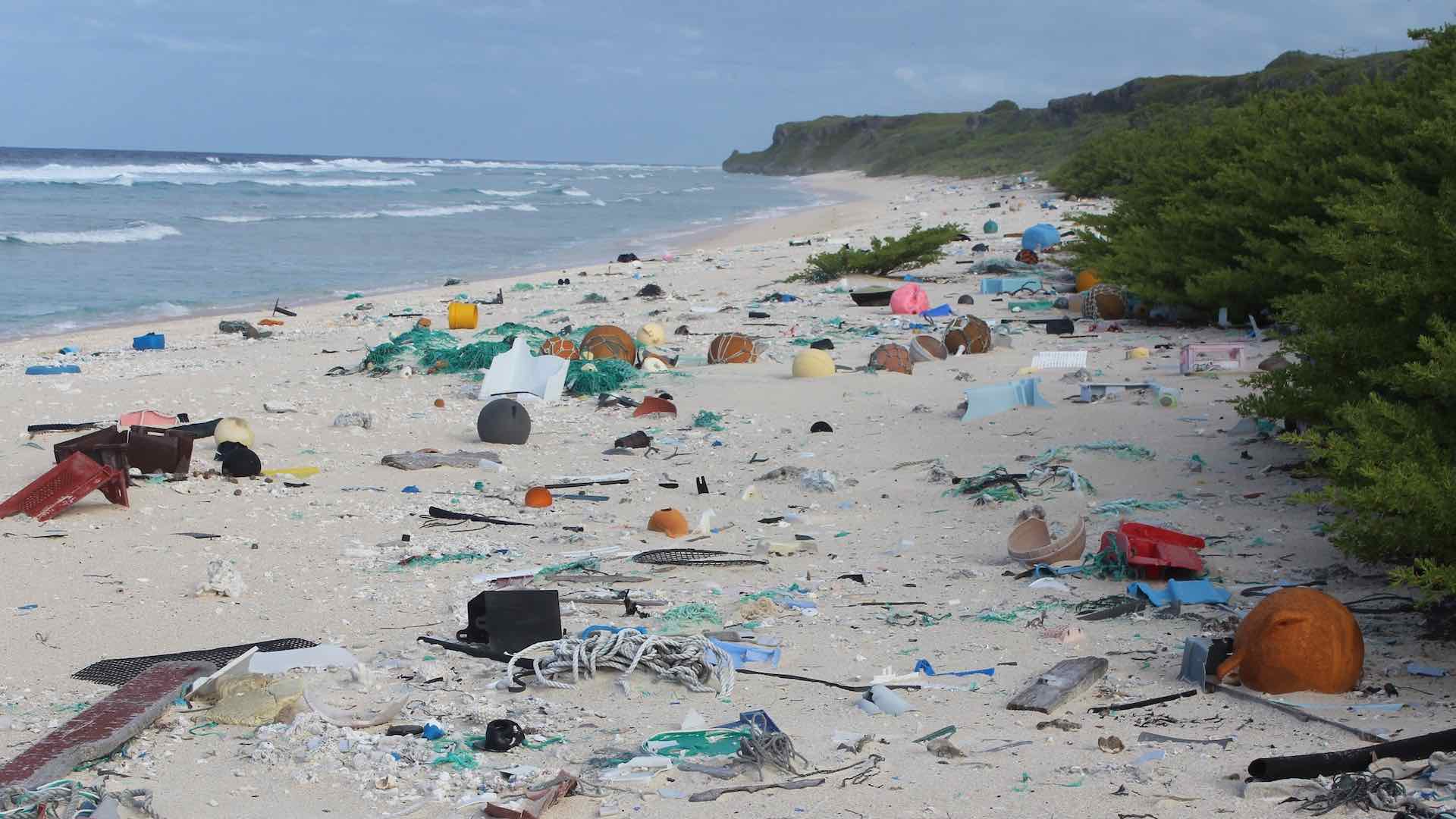 La Isla Henderson, un paraíso en el Pacífico arruinado por el plástico