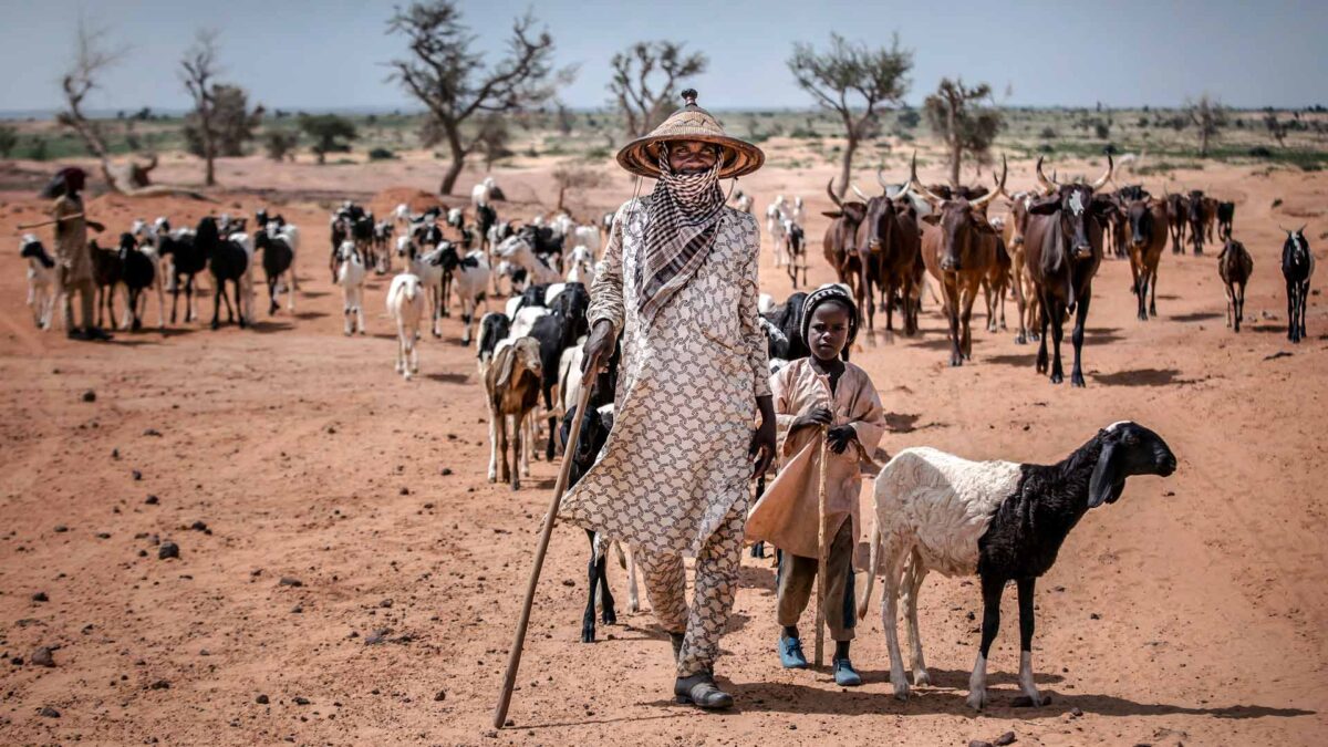 La mayor reserva natural de África, amenazada por una petrolera china