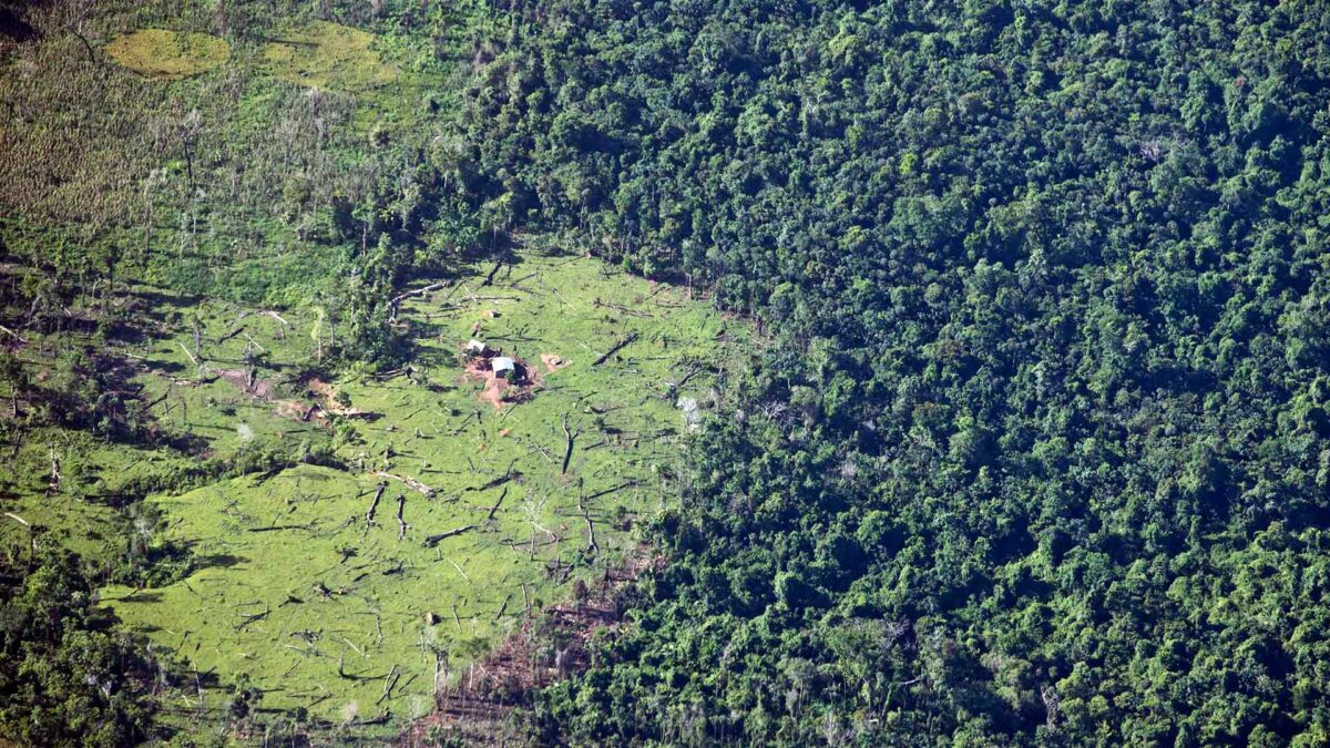 La ONU advierte de que hay que cambiar la dieta para frenar el cambio climático