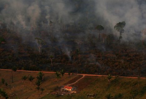 La policía detiene a tres sospechosos de causar incendios en el Amazonas