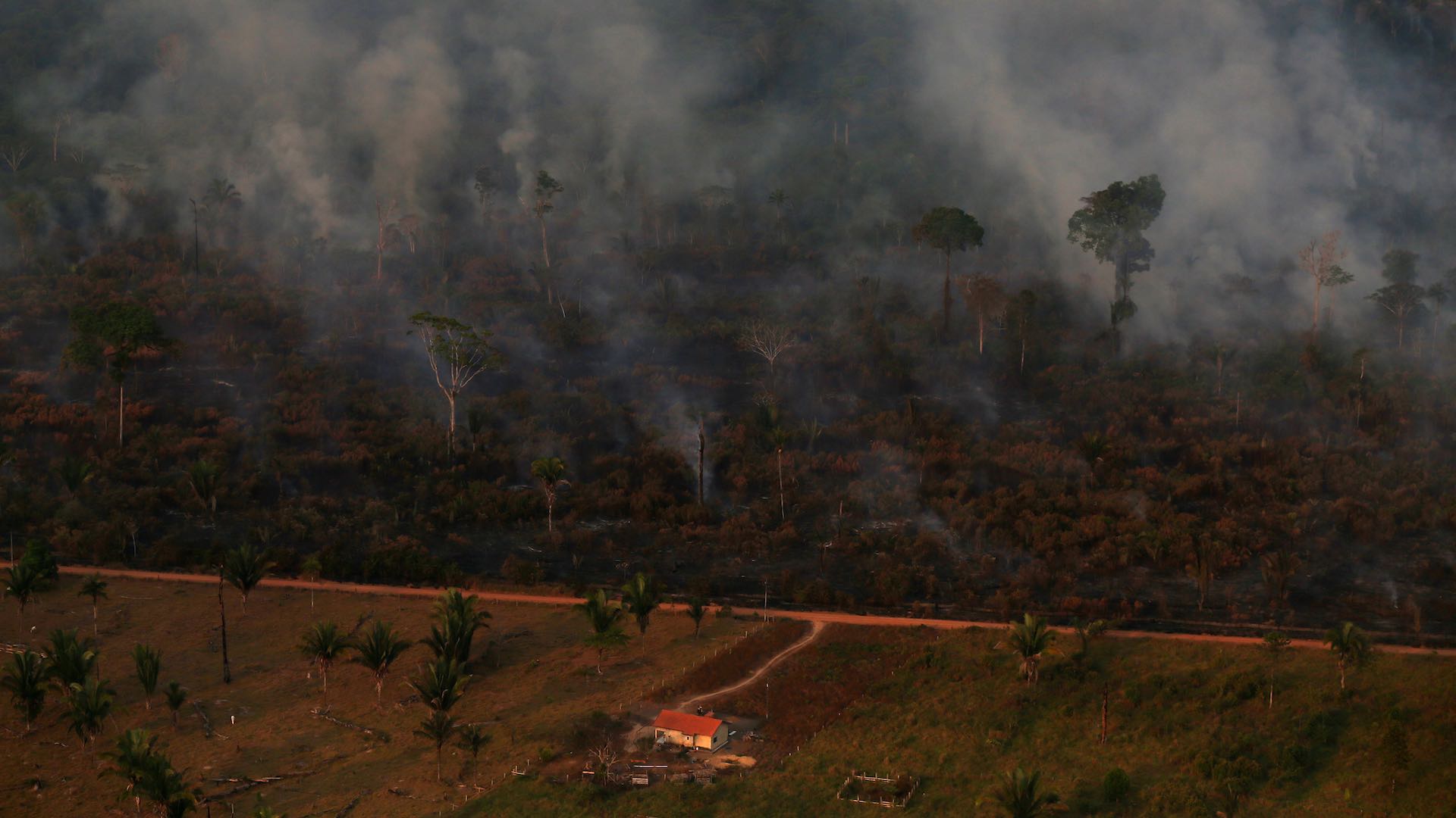 La policía detiene a tres sospechosos de causar incendios en el Amazonas