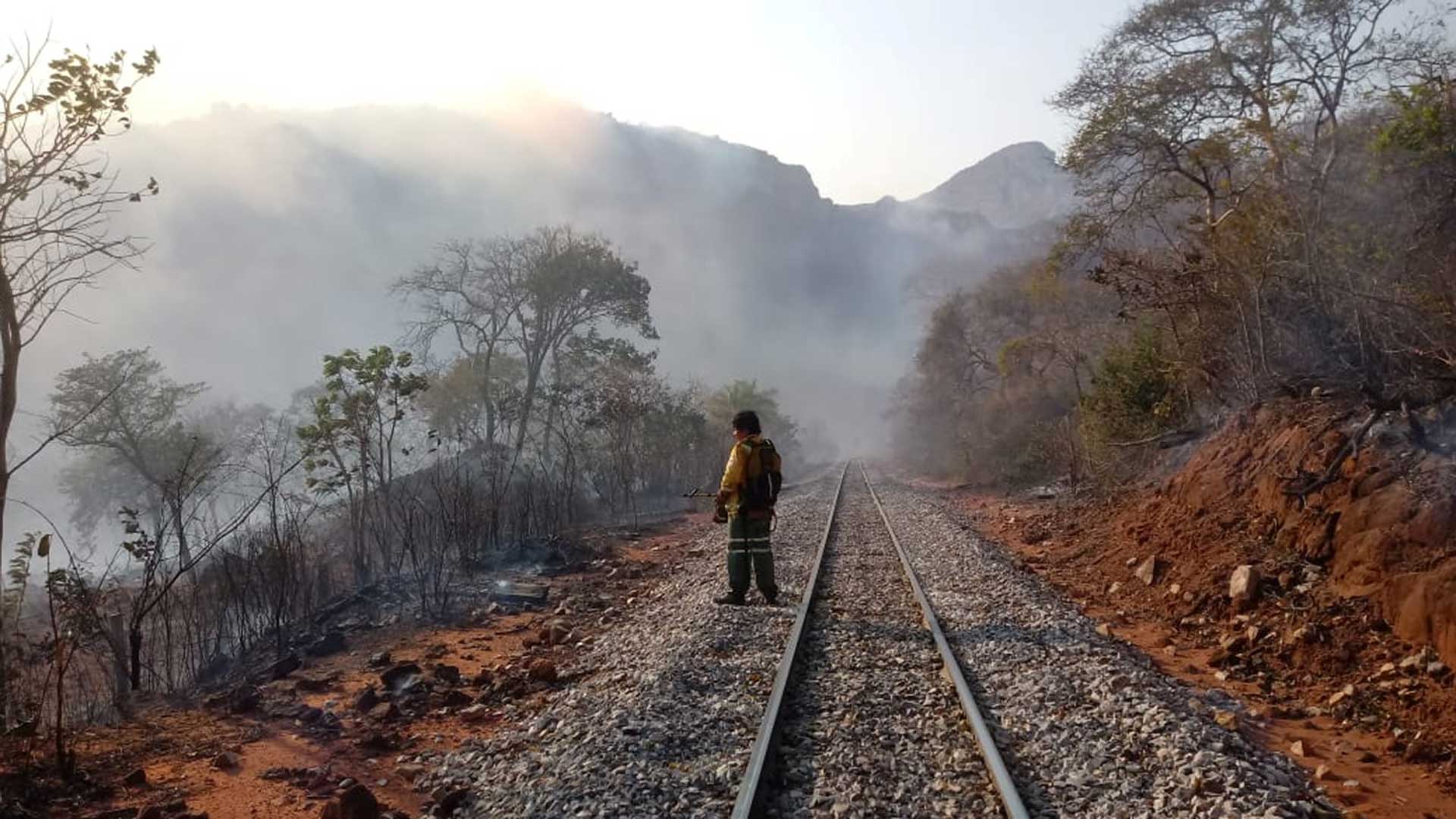Los incendios en Bolivia arrasan casi un millón de hectáreas