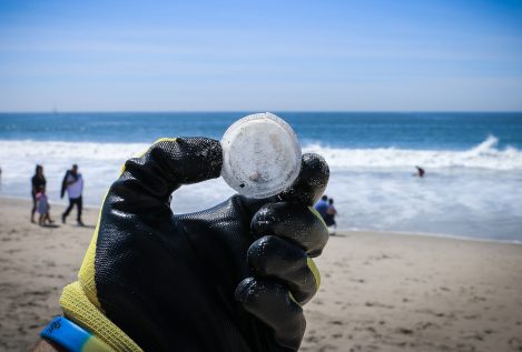 Los microplásticos en el agua no son perjudiciales para los humanos, según un informe de la OMS
