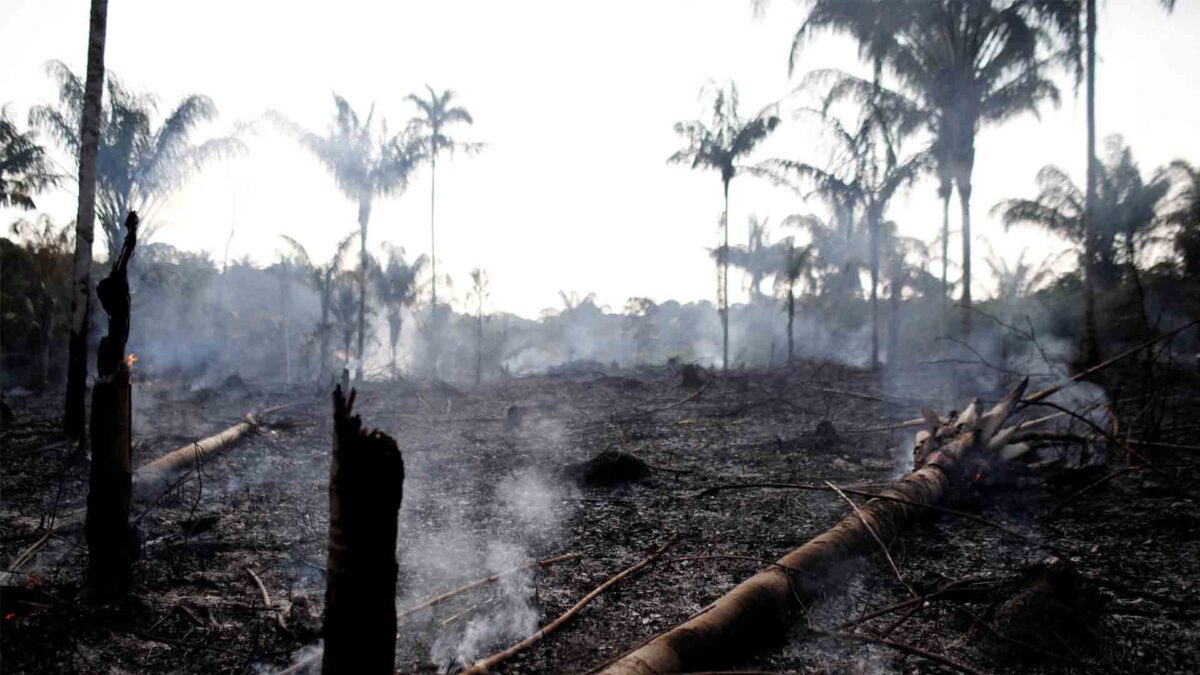 Macron dice que los incendios en el Amazonas son una «crisis internacional» y Bolsonaro le acusa de «mentalidad colonialista»