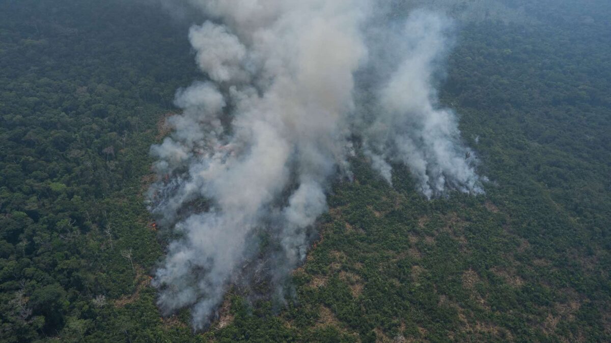 Reino Unido promete 10 millones de libras para el Amazonas